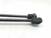Gasdruckfedern Set Hinten 24463829 Opel Astra H (L48) Schrägheck 5-drs 1.7 CDTi 16V (Z17DTH)