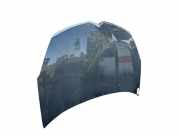 Motorhaube 7901P5 Citroën C-Crosser SUV 2.2 HDiF 16V (DW12METED4(4HK))