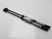 Gasdruckfedern Set Hinten 51247129194 BMW 3 serie (E92) Coupé 320d 16V (N47-D20A)