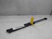 Gasdruckfedern Set Hinten 46784995 Fiat Stilo (192A/B) Schrägheck 1.6 16V (182.B.6000)