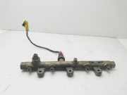 Einspritzdüsen Düsenstock 0445214019 Peugeot 307 BREAK / SW (S1) SW PACK 107 CV / 79 KW