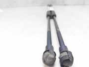 Gasdruckfedern Set Hinten 51248402405 BMW (E53) 3.0d 218 CV / 160 KW