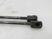 Gasdruckfedern Set Hinten 08450500 Renault Megane (BA) Schrägheck 5-drs 1.4 16V (K4J-750)