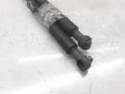 Gasdruckfedern Set Hinten XS41F406A10AF Ford Focus 1 Limousine 1.8 TDdi (C9DB)