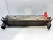 Ladeluftk?hler L25951 Land + Range Rover Discovery III (LAA/TAA) Gel?ndewagen 2.7 TD V6 (276DT)