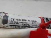 Vorhang Airbag Rechts VOOR VOOR BJ3214K159BB Land + Range Rover Range Rover Evoque (LVJ/LVS) SUV 2.0 eD 150 16V (204DTD)