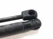 Gasdruckfedern Set Hinten 4F5827552B Audi A6 (C6) Limousine 2.4 V6 24V (BDW)