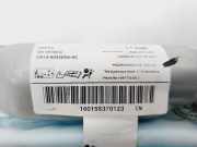 Vorhang Airbag Links VOOR CN15A042D95AC Ford Kuga II (DM2) SUV 1.5 EcoBoost 16V 150 (M8MD)