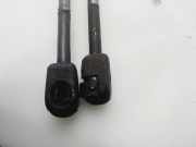 Gasdruckfedern Set Hinten 8200978669 Renault Scénic II (JM) Großraumlimousine 1.5 dCi 105 (K9K-732)