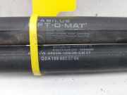 Gasdruckfedern Set Hinten A1699800864 Mercedes-Benz B (W245) Schrägheck 2.0 B-200 CDI 16V (OM640.941)