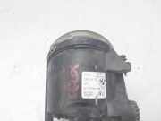 Nebelscheinwerfer Links Vorne 63176920885 BMW X5 (E53) SUV 3.0d 24V (M57-D30(306D1))