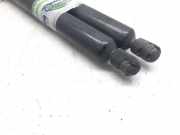 Gasdruckfedern Set Hinten 7M0827550F Ford (VY) Ambiente 90 CV / 66 KW