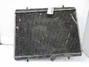 Radiator 968053340 Peugeot 407 (6D) Limousine 2.0 HDiF 16V (DW10BTED4(RHR))