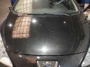 Motorhaube 7901L9 Peugeot 307 CC (3B) Cabrio 2.0 HDIF 16V (DW10BTED4(RHR))