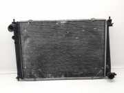 Radiator 253104A110 Hyundai H-1/Starex Bus 2.5 TD (D4BF)