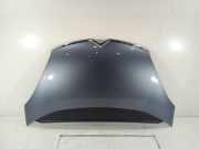 Motorhaube 7901N7 Citroën CITROEN C4 PICASSO 2.0 HDi FAP CAT (RHR / DW10BTED4)