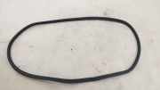 Türgummis Links Hinten 742869606 BMW X5 (G05) SUV xDrive M50d 3.0 24V (B57-D30C) 2020-03
