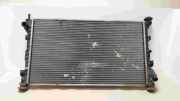 Radiator 008T168005BA Ford Transit Connect Van 1.8 TDCi 90 (HCPD) 2010-08