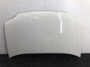 Motorhaube 1T0823031D Volkswagen Caddy III (2KA,2KH,2CA,2CH) Van 2.0 SDI (BST) 2006-02 BST