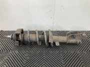 Federbein Links Vorne 543023941R Renault Trafic (1FL/2FL/3FL/4FL) Van 1.6 dCi 125 Twin Turbo (R9M-452(R9M-D4)) 2018-12