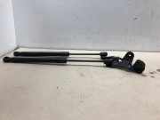 Gasdruckfeder Set Vorne 109147200B Tesla Model 3 Limousine Long Range, Performance AWD (3D6) 2019-07