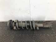 Federbein Links Vorne 543029124R Renault Trafic (1FL/2FL/3FL/4FL) Van 1.6 dCi 90 (R9M-A402) 2016-09