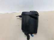 Ausgleichbehälter 17137647283 BMW 5 serie Touring (F11) Kombi 535i 24V TwinPower Turbo (N55-B30A) 2010-10