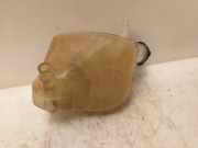 Ausgleichbehälter 8200369313 Renault Twingo II (CN) Schrägheck 3-drs 1.2 16V (D4F-770) 2012-03