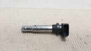 Stift Zündspule R0401S00400 Volkswagen Golf V (1K1) Schrägheck 1.6 FSI 16V (BLF(Euro 4)) 2004-04 BLF(Euro 4)