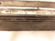 Ladeluftkühler 874806M Nissan Interstar (X70) Van 2.5 dCi 16V (G9U-754) 2006-05