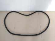 Türgummis Links Hinten 2K5843792D Volkswagen Caddy IV Van 2.0 TDI 75 (DFSF) 2016 DFSF