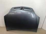 Motorhaube 93184795 Opel Signum (F48) Schrägheck 5-drs 3.0 CDTI V6 24V (Y30DT(Euro 3)) 2003-08