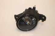 Nebelscheinwerfer Rechts Vorne 8200002470 Renault Laguna II (BG) Schrägheck 5-drs 1.9 dCi 120 (F9Q-750) 2002