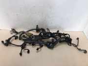 Kabelbaum Honda Stream I (RN) Großraumlimousine 1.7 16V VTEC (D17A2(Euro 4)) 2002-07