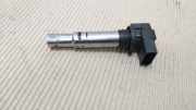 Stift Zündspule 0040102030 Volkswagen Golf V (1K1) Schrägheck 1.6 FSI 16V (BLF(Euro 4)) 2004-04 BLF(Euro 4)