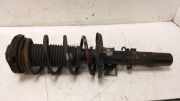 Federbein Rechts Vorne 5Z0413031C Volkswagen Fox (5Z) Schrägheck 1.2 (CHFB) 2005-06 CHFB