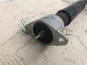 Stoßdämpfer Links Hinten Ford Fiesta 6 (JA8) Schrägheck 1.25 16V (STJD) 2011-07