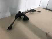 Lenkgetriebe Daihatsu Cuore (L251/271/276) Schrägheck 1.0 12V DVVT (EJ-VE) 2004-07