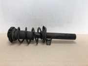 Federbein Rechts Vorne 1T0413031FL Volkswagen Golf Plus (5M1/1KP) Großraumlimousine 1.9 TDI 105 (BXE) 2006 BXE