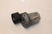 Spannrolle Multiriem 11287800334 BMW 7 serie (F01/02/03/04) Limousine 730d 24V (N57-D30A) 2014