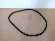 Türgummis Rechts Hinten 6R6867912B Volkswagen Polo V (6R) Schrägheck 1.4 16V (CGGB) 2013 CGGB