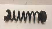 Schraubenfeder Hinten 107020 BMW 1 serie (F20) Schrägheck 5-drs 118i 1.5 TwinPower 12V (B38-B15A) 2016-07