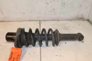 Federbein Rechts Hinten Volkswagen Passat Variant (3B6) Kombi 4.0 W8 32V 4Motion (BDP(Euro 4)) 2002-02 BDP(Euro 4)