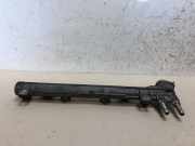 Einspritzdüsen Düsenstock 036133319 Volkswagen Golf IV (1J1) Schrägheck 1.6 16V (BCB) 2003-09 BCB