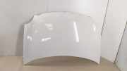 Motorhaube 6QE823031B Volkswagen Polo IV (9N1/2/3) Schrägheck 1.2 (BMD) 2005-03 BMD