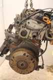Motor ASX19 Volkswagen Polo III (6N2) Schrägheck 1.9 SDI (ASX) 2001-08 ASX