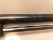 Gasdruckfedern Set Hinten BM51N406A10AD Ford Focus 3 Wagon Kombi 1.5 TDCi (XWDE) 2017-11