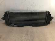 Ladeluftkühler Opel Vivaro Van 2.0 CDTI (M9R-788) 2011-09