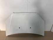 Motorhaube 51841326 Fiat Doblo Cargo (223) Van 1.3 D 16V Multijet (199.A.2000) 2007-11