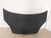 Motorhaube 7901Q0 Peugeot Bipper (AA) Van 1.4 HDi (DV4TD(8HS)) 2008-07